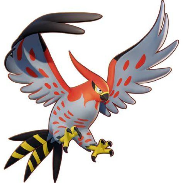 Talonflame Pokemon Unite