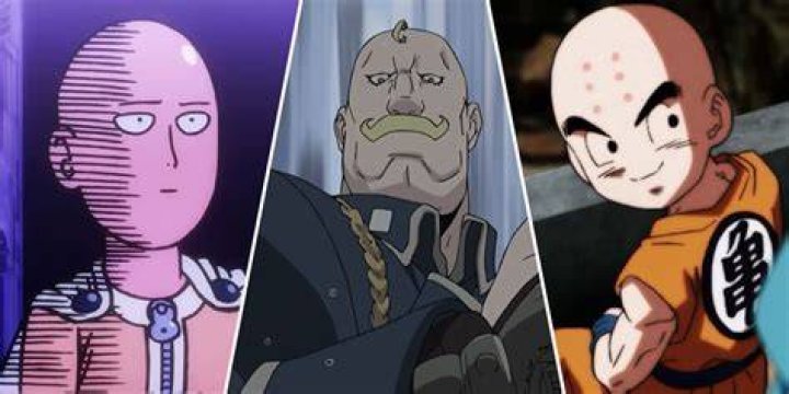 The Best Bald Anime Characters Lady Alopecia