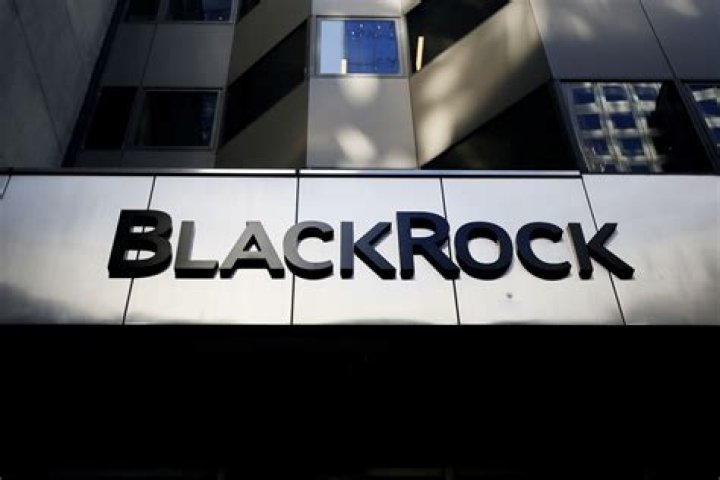 The demonisation of BlackRock&rsquo;s Larry Fink