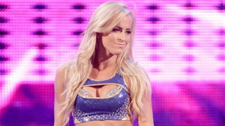 The Fappening Summer Rae Wwe Nude Leaked The Fappening Free Download
