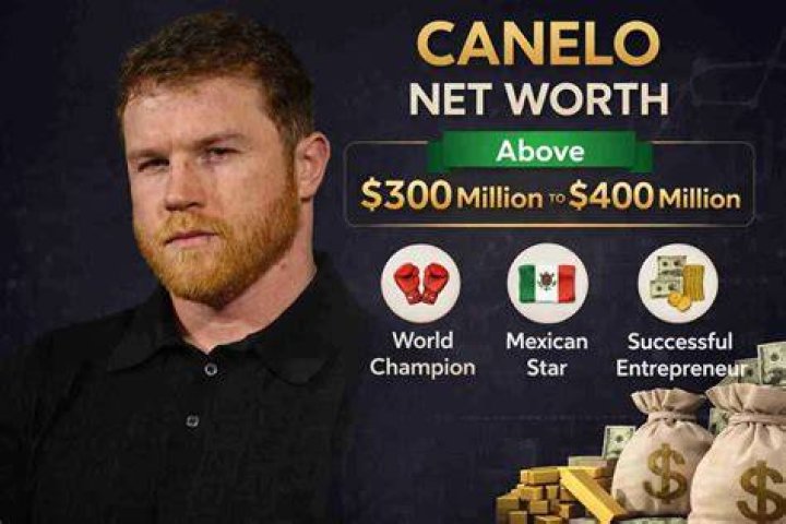 The Rise of Canelo From 15 yearold pro to Floyd Mayweather successor