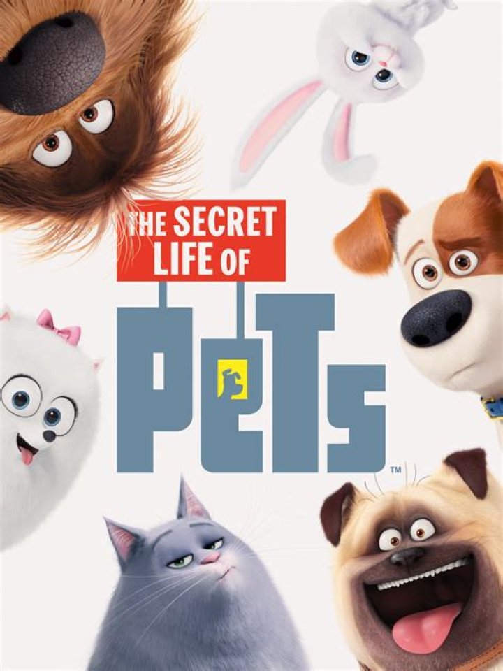 The Secret Life of Pets (2016)