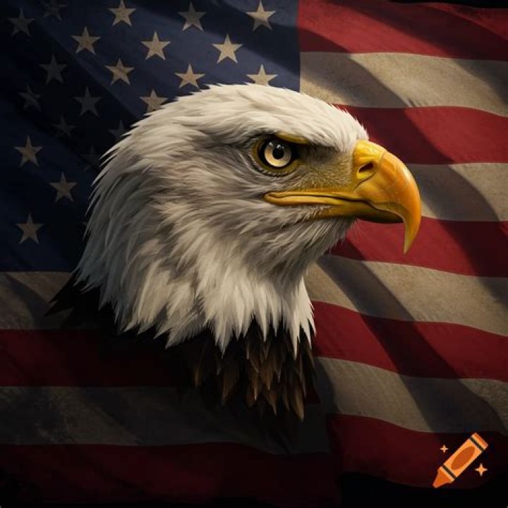 ‘The Talk’ American Profile
