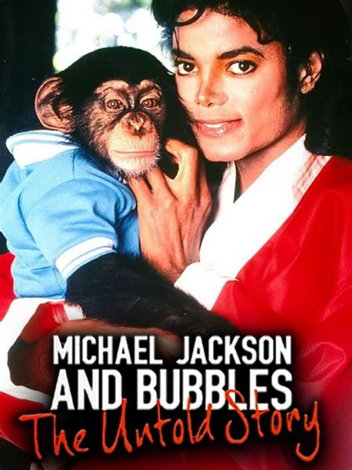 The Untold Story of Michael Jordan's Family A Look into the Life of