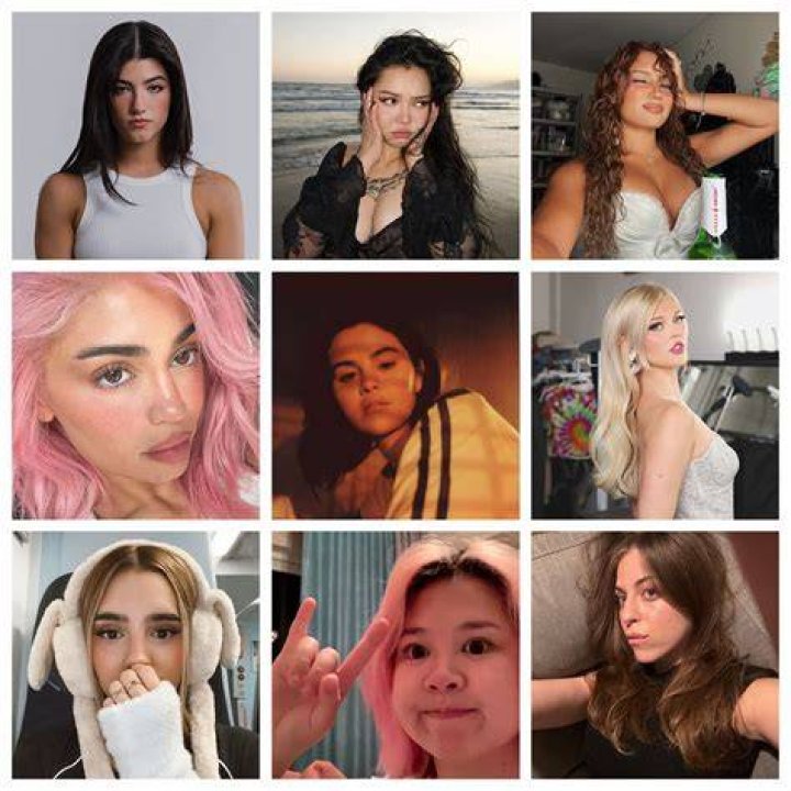 TheFanVan on TikTok women are sick r/Silkyy