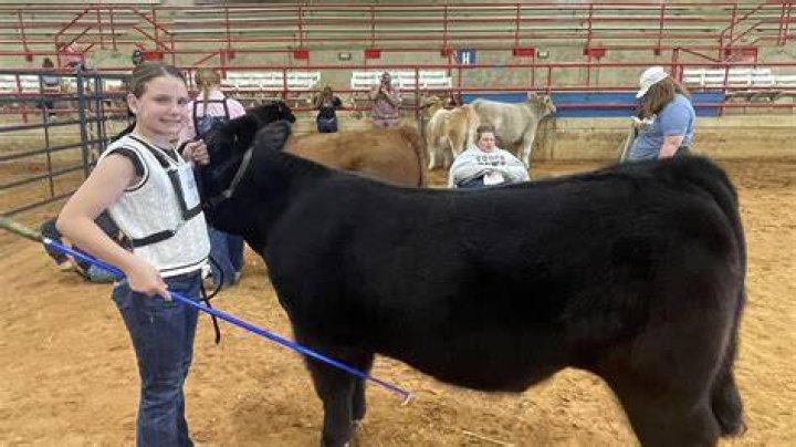 This 15yearold and her steer, Snoop Dog, just made history at the