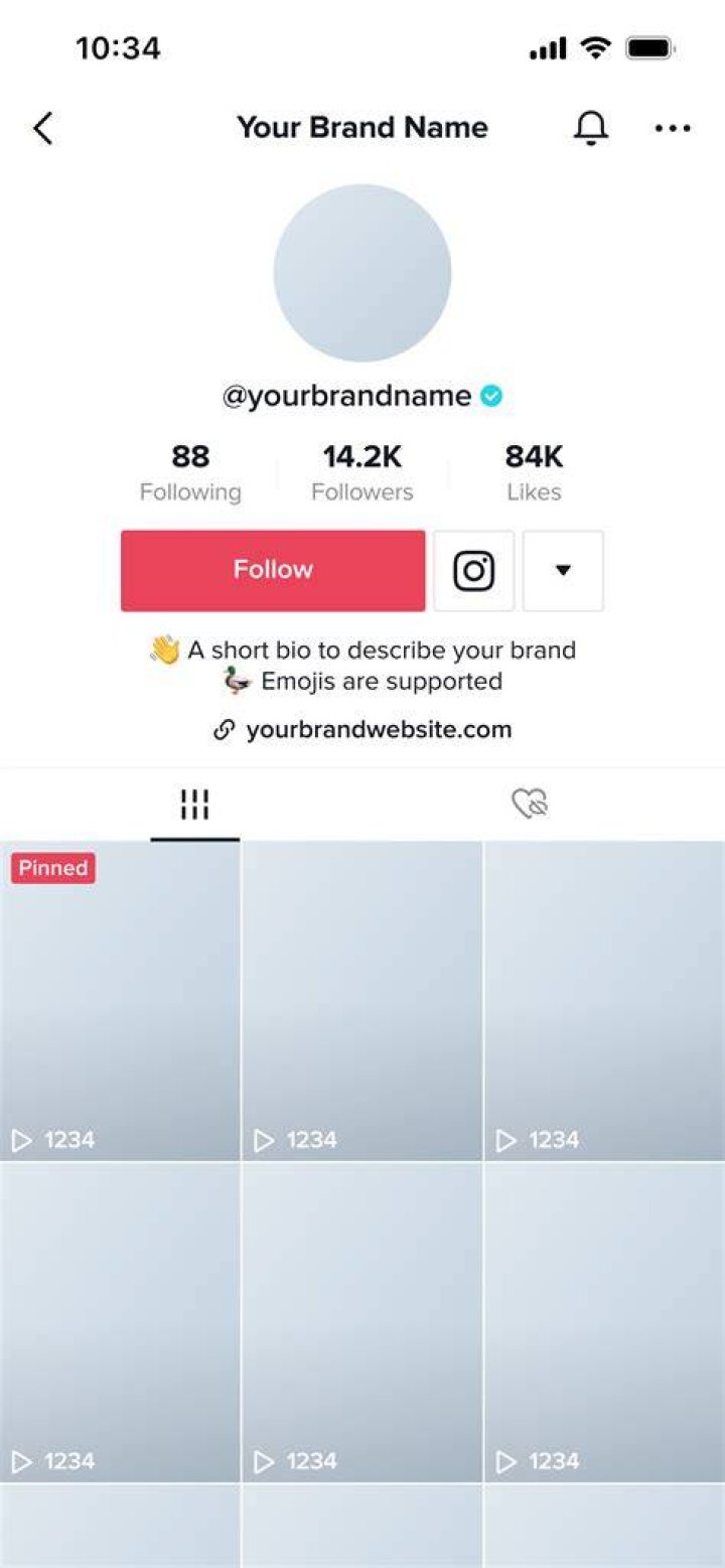 TikTok profile page on a phone