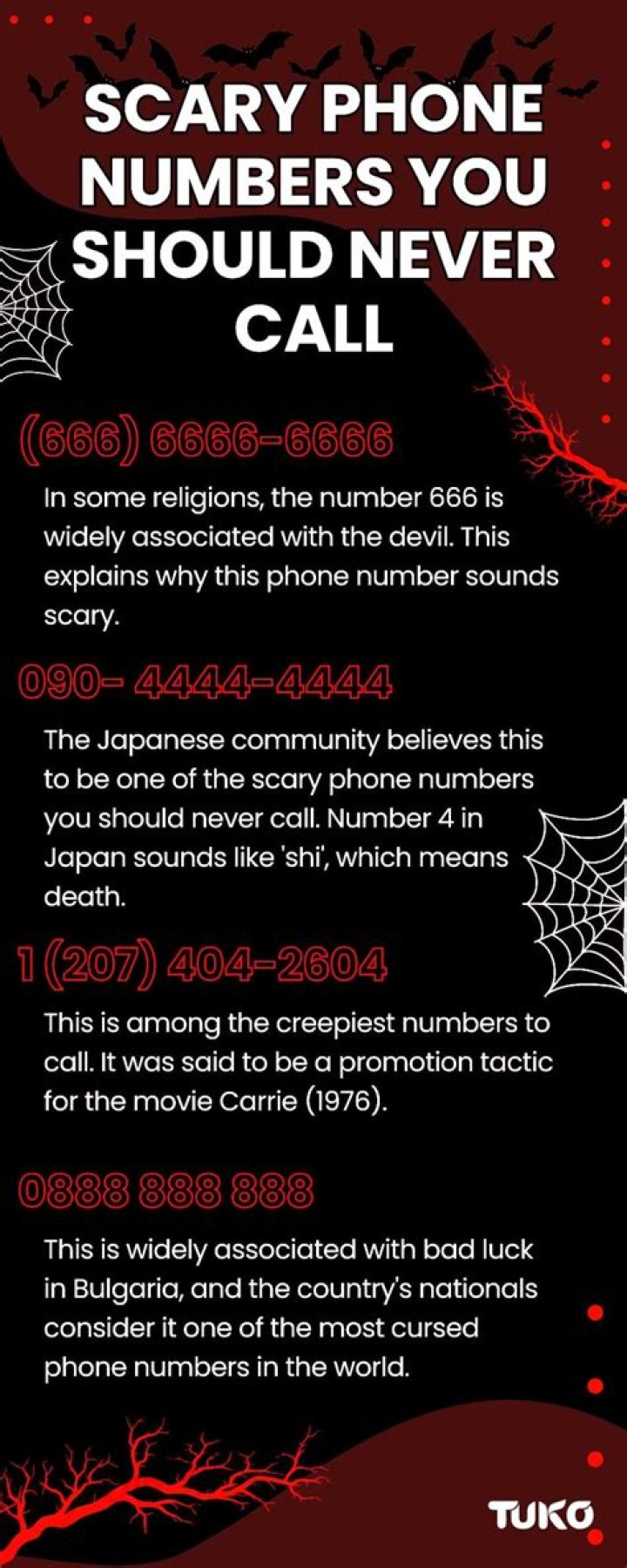 Top 10 Phone Numbers You Should Never Call Scary Numbers 2023