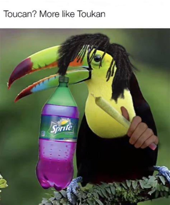 toukan/Reddit