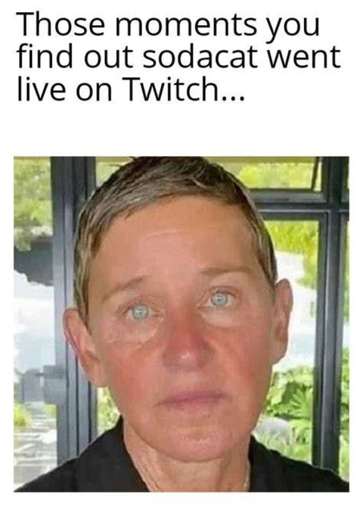 True facts r/Sodacat