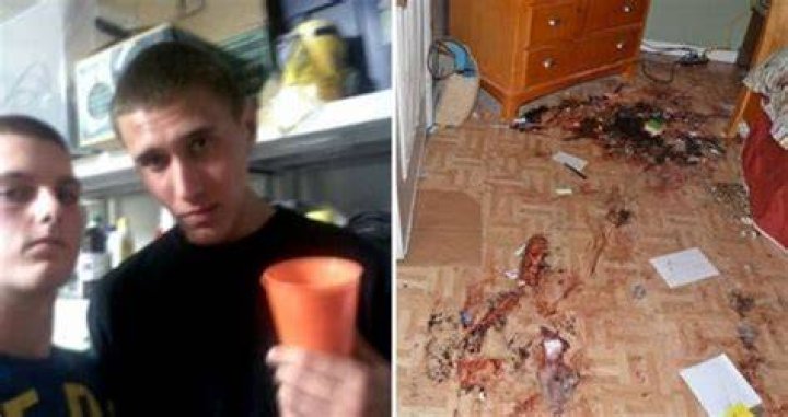 Tyler Hadley, who killed his parents with hammer, brad he'll get out on
