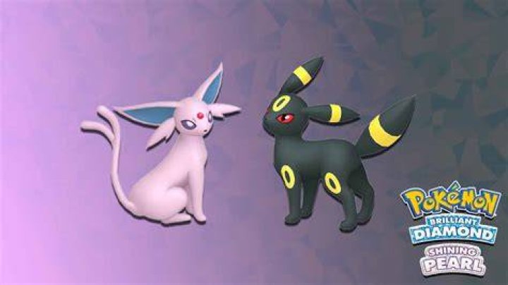 umbreon in pokemon brilliant diamond shining pearl