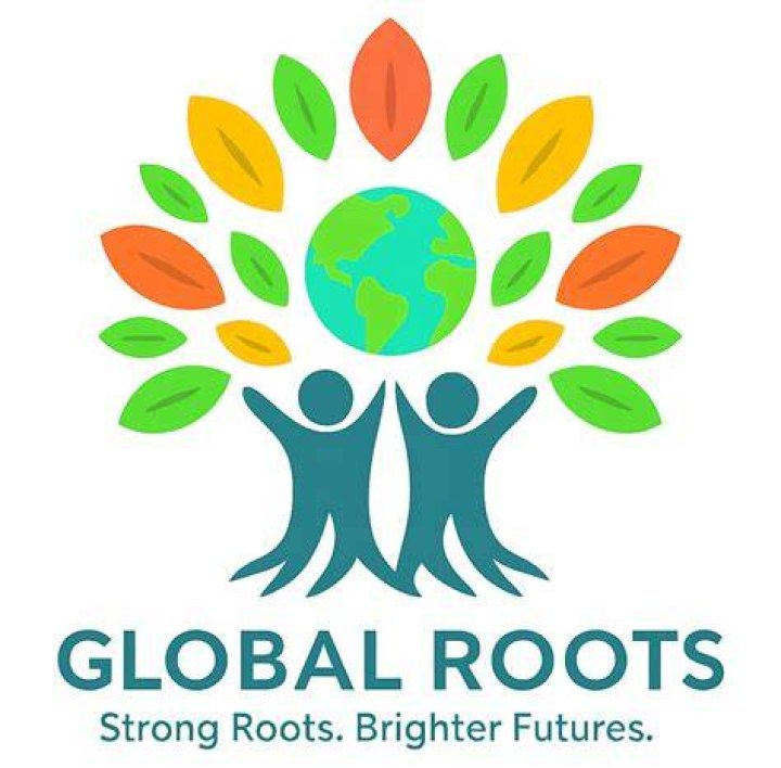 Uncovering The Global Roots Bellingham Parents' Nationalities