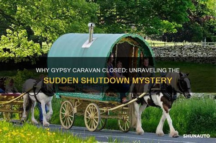 Unraveling The Mystery The Gypsy Rose Blanchard Autopsy