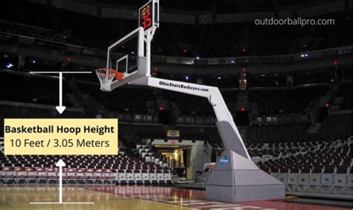 Unveiling The Height Of A Champion Conor McGregor's Height In Feet