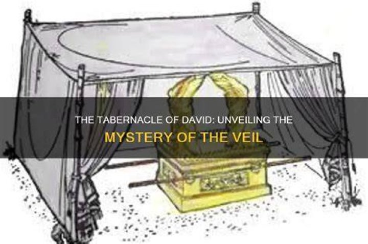 Unveiling The Mystery Of David Choe's Wife