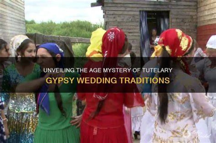 Unveiling The Mystery The Gypsy Rose Crime Scene