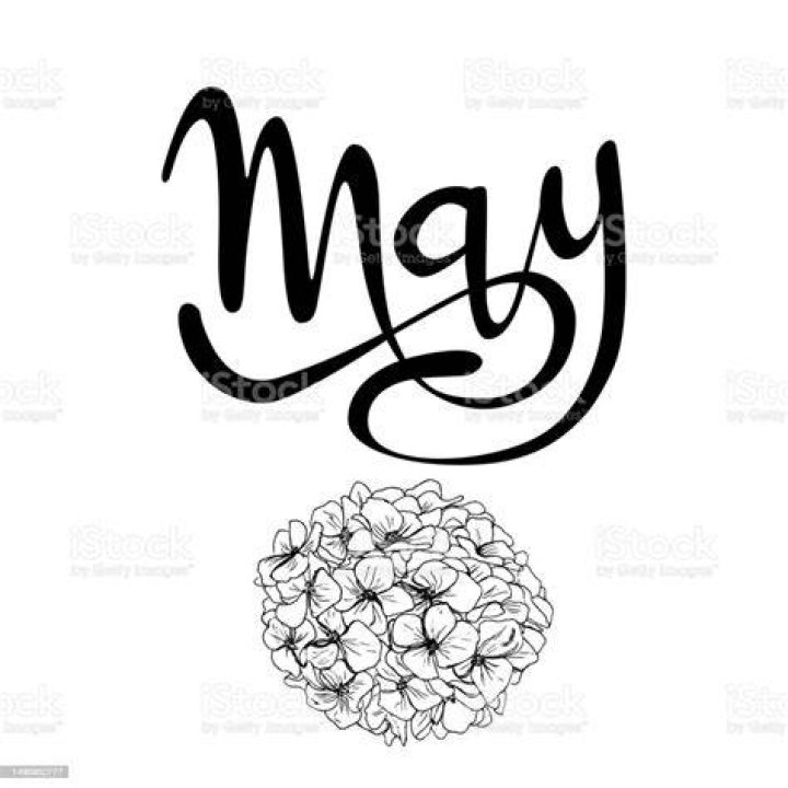 Vectorized Handwritten Lettering Sign May Graphic Resource On White