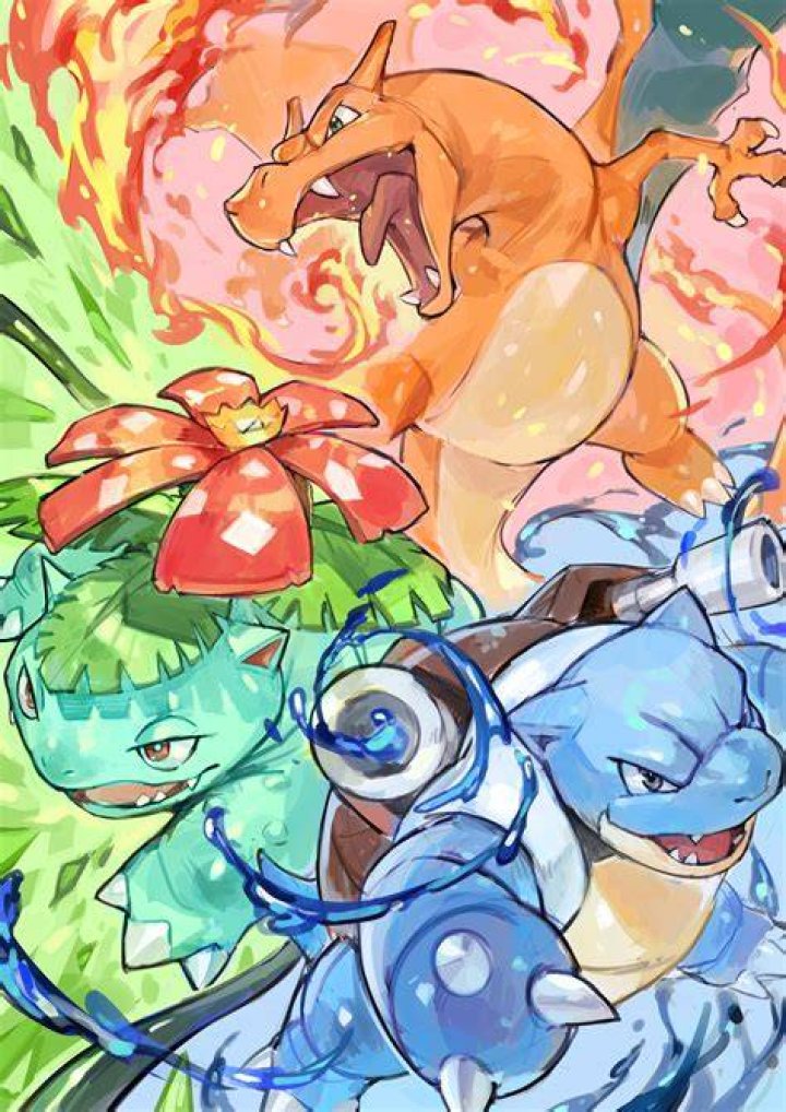 Venusaur Charizard Blastoise wizyakuza