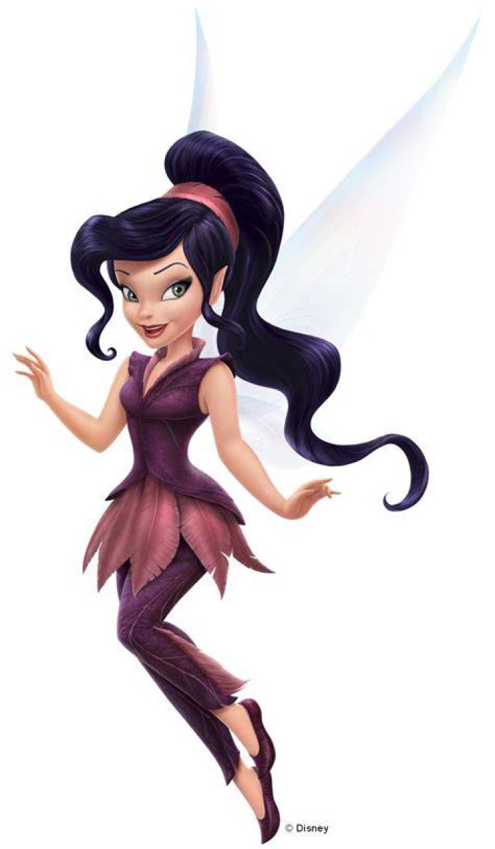 Vidia from Tinkerbell Photo Picture of Vidia! Zeichentrick