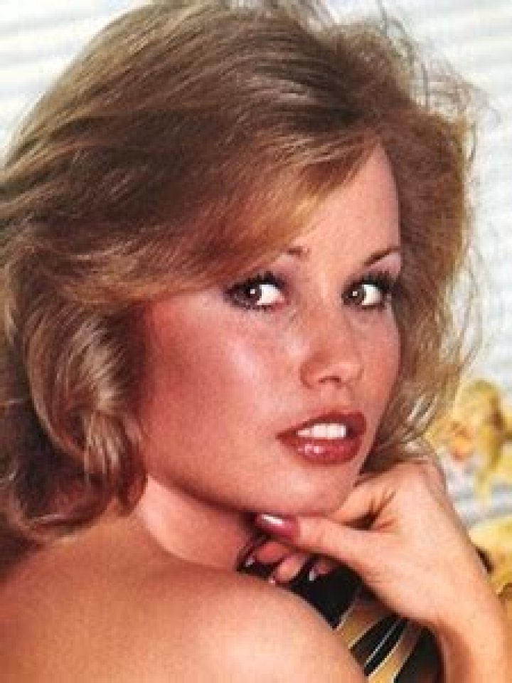 Vintage 1977 Miss July Sondra Theodore Playboy Centerfold and Pictorial