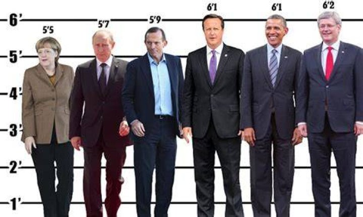 Vladimir Putin Height In CM Unveiling The Facts