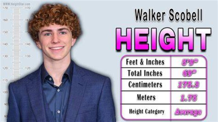 Walker Scobell&rsquo;s age, height, birthday, movies and TV shows Legit.