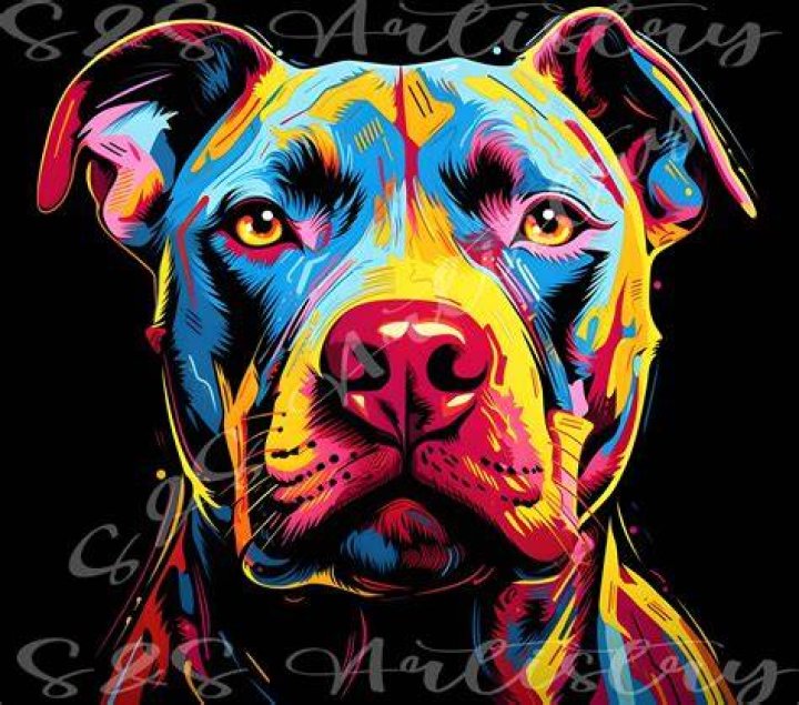 🔥 Warhol 🔥 beauty king beast pitbull Cute animals, Animal lover
