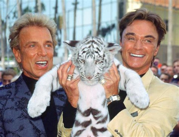 Were Siegfried and Roy a Couple? The Love Story Behind 'Wild Things