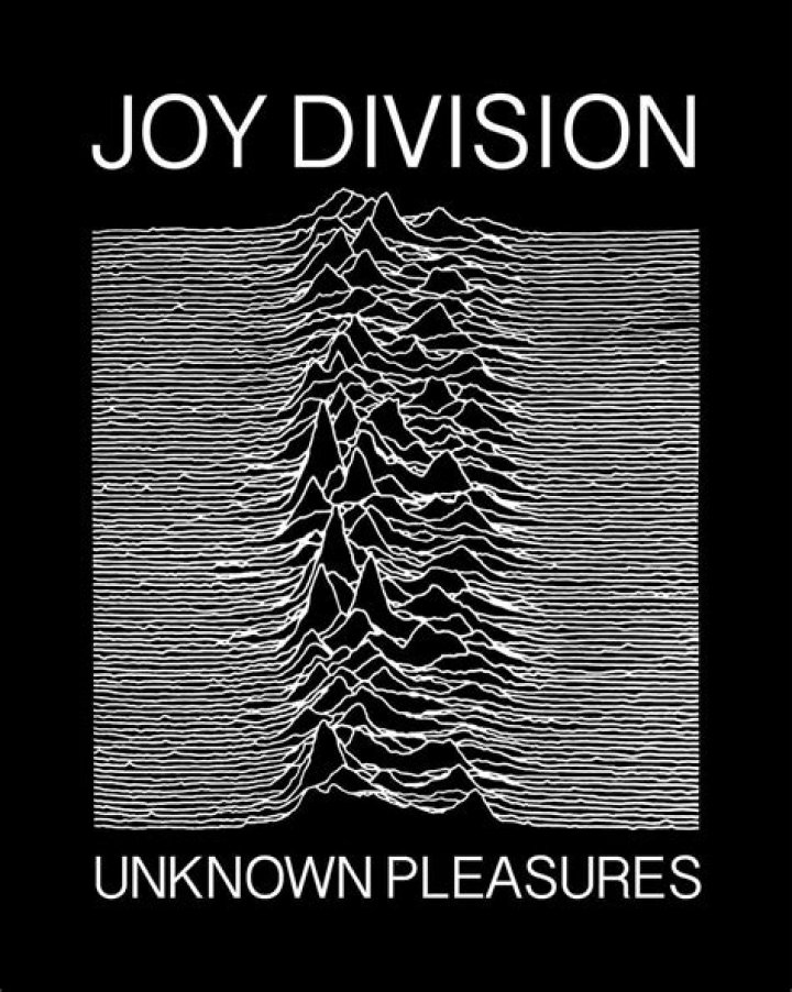 What Was Joy Division Icon Ian Curtis&rsquo; Net Worth At The Time Of His
