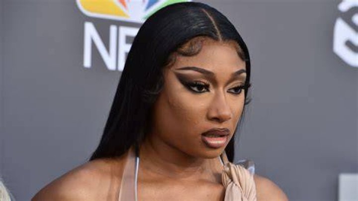 Who Is Megan Thee Stallion's Boyfriend? Pardi Breaks Silence on