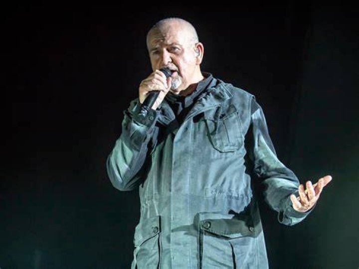 Who is Peter Gabriel's spouse Meabh Flynn? bio and personal life