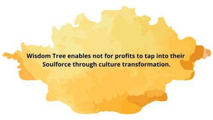 Wisdom tree’s chief executing officer, Jonathan Steinberg Net Worth