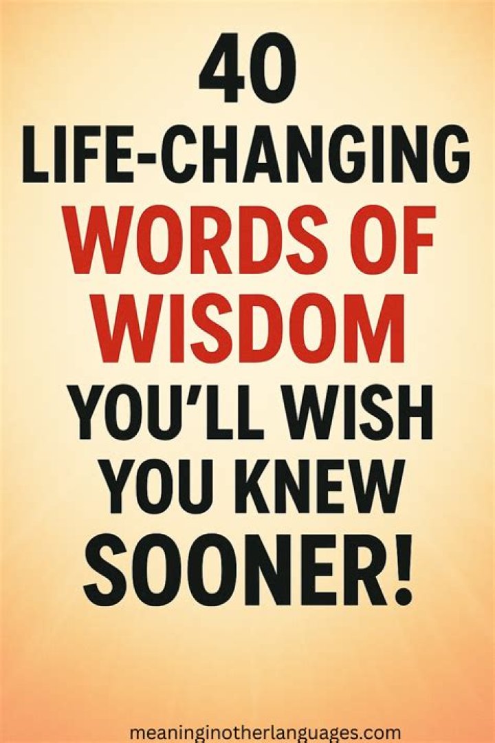 Words of Wisdom (09/29/14) Funny quotes, Funny cartoon quotes